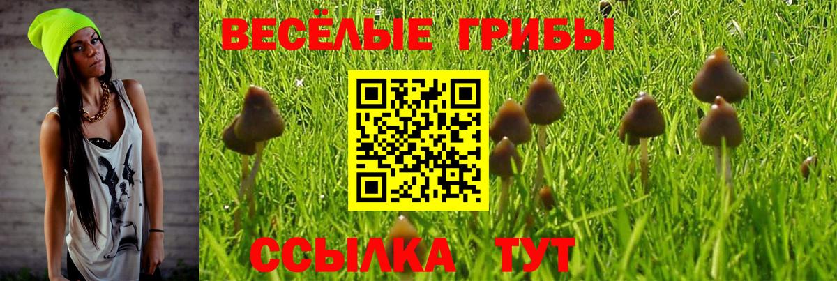 Галлюциногенные грибы Psilocybe  Вход с VPN  Сарапул 